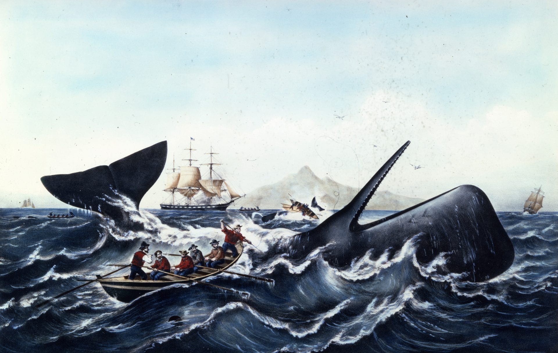 Whales and Hunting - New Bedford Whaling Museum