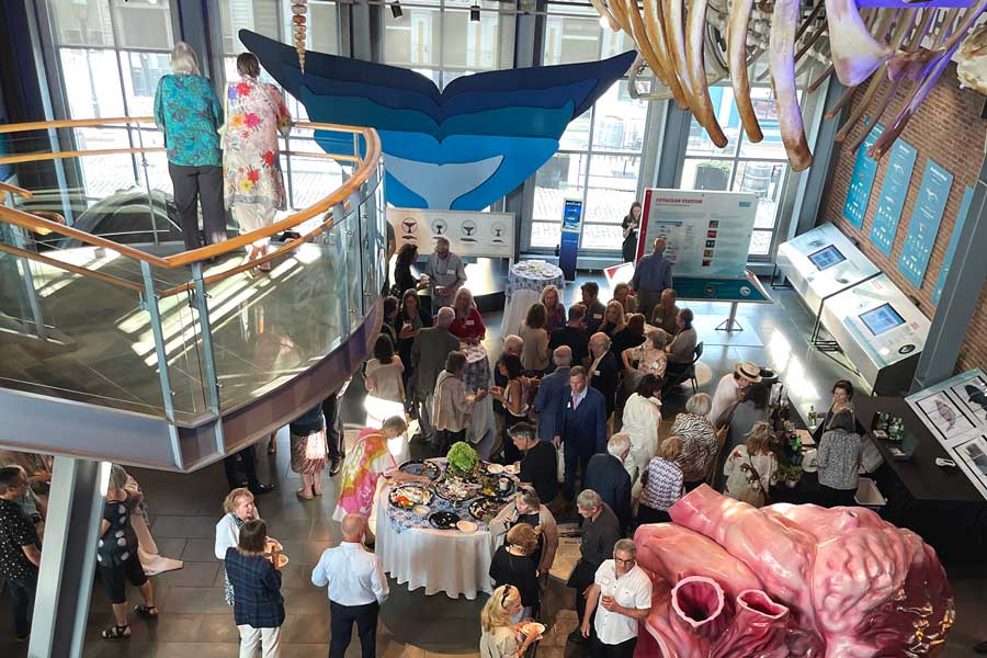 The New Bedford Whaling Museum offers venue rentals for business events in the Jacobs Family Gallery.