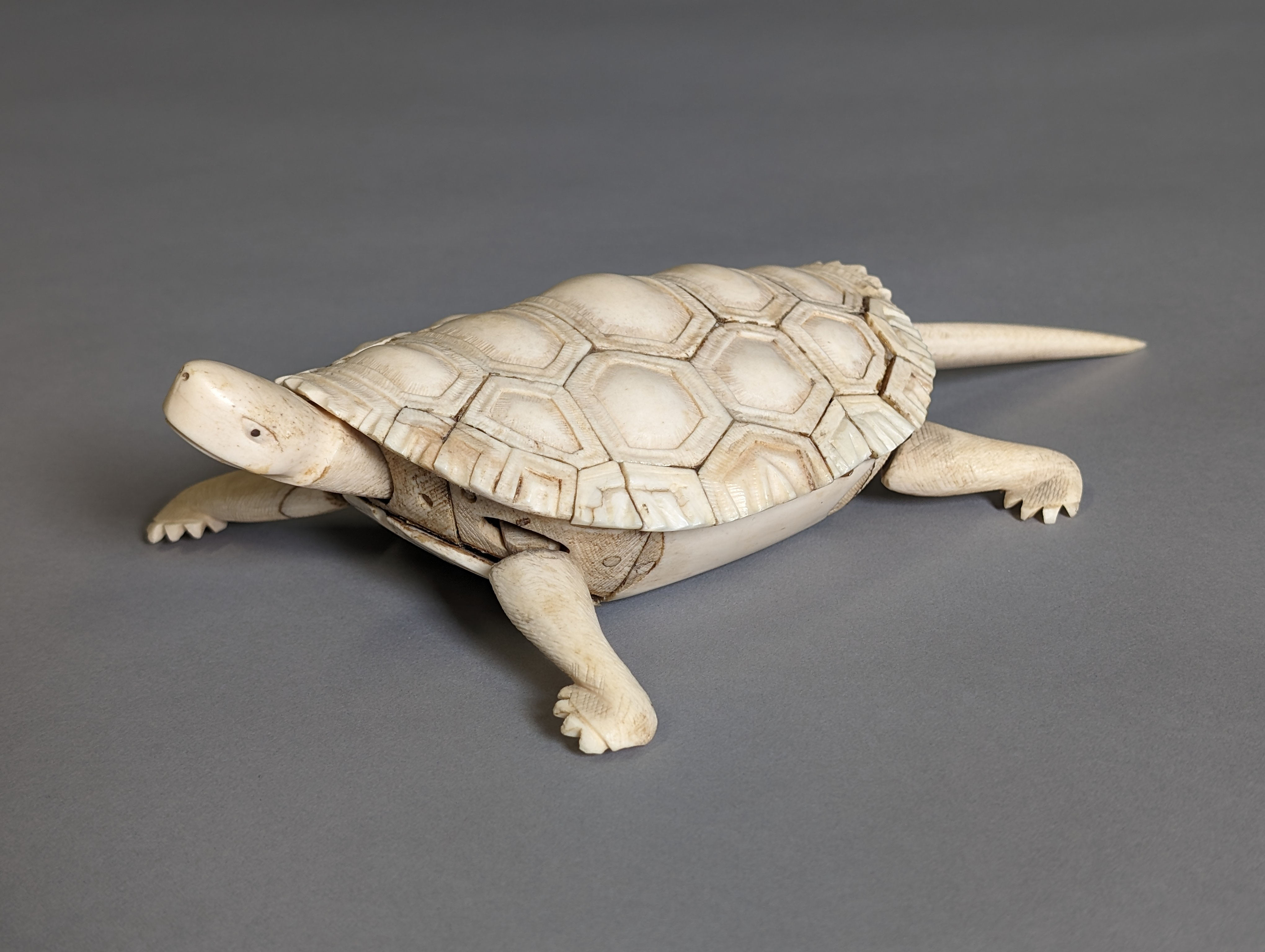 A detailed scrimshaw carving of a turtle. The turtle is depicted with a textured shell, intricate body features, and a lifelike pose. The scrimshaw is crafted from a light-colored material, showcasing the fine craftsmanship and attention to detail. The turtle is displayed against a plain gray background.