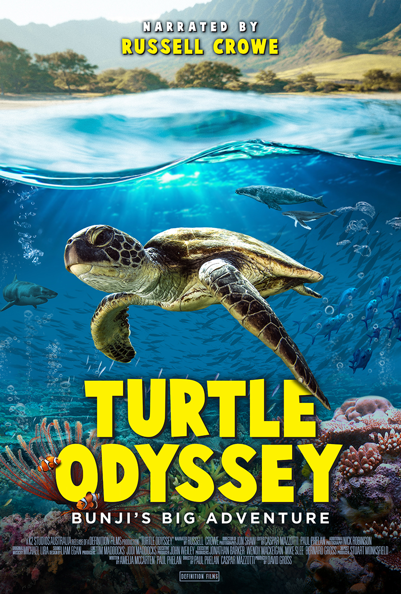 TurtleOdyssey_KeyArt_Vert_Jan2019_WEB